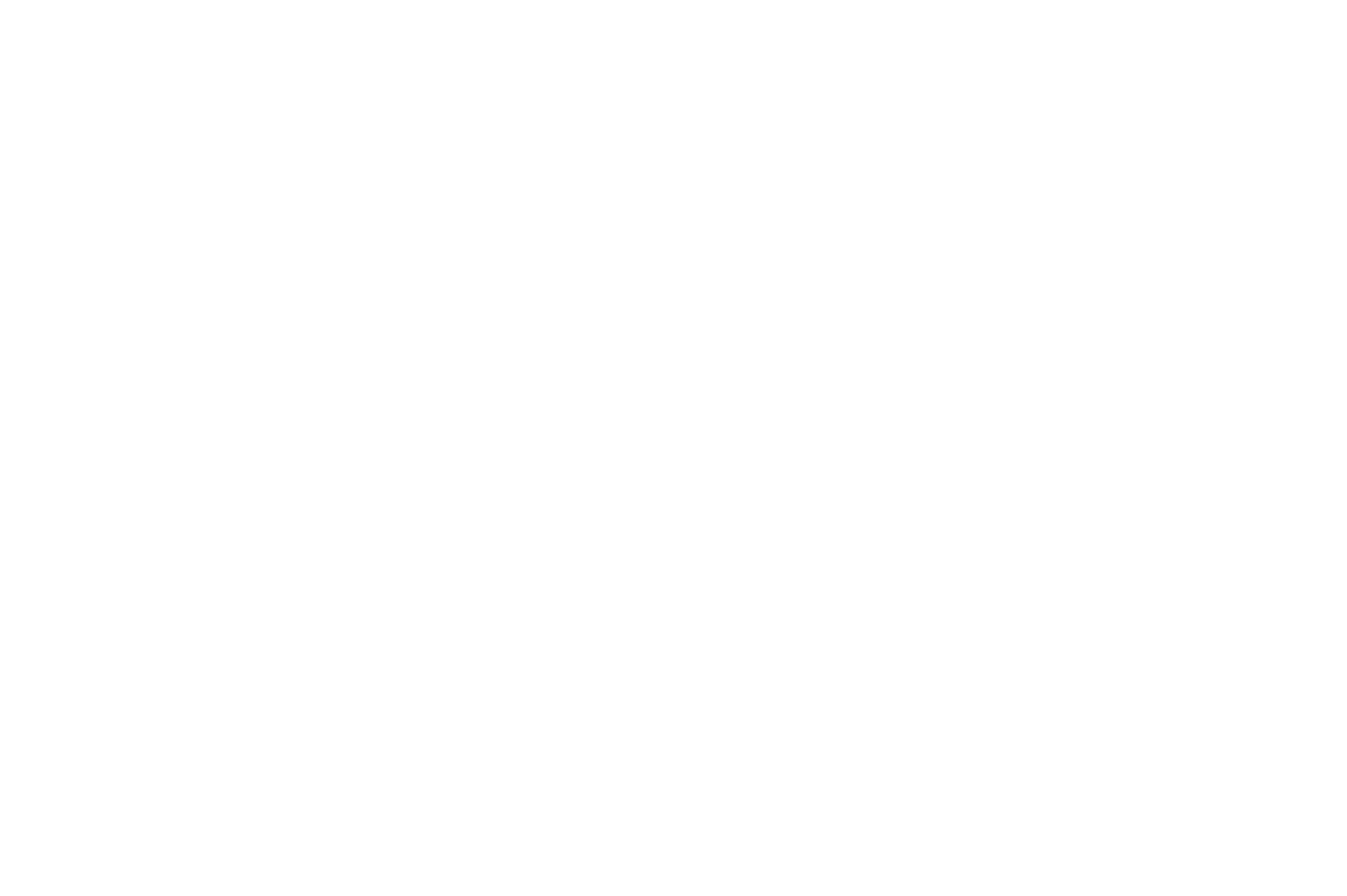 Turley Solutions & Innovations White Logo