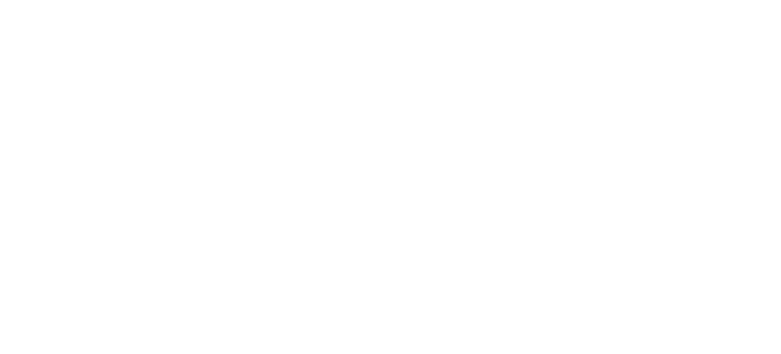 Turley Solutions & Innovations White Logo